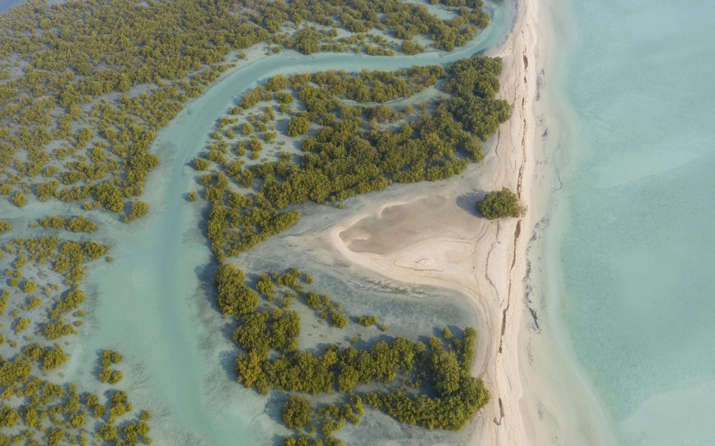 Sir Bani Yas