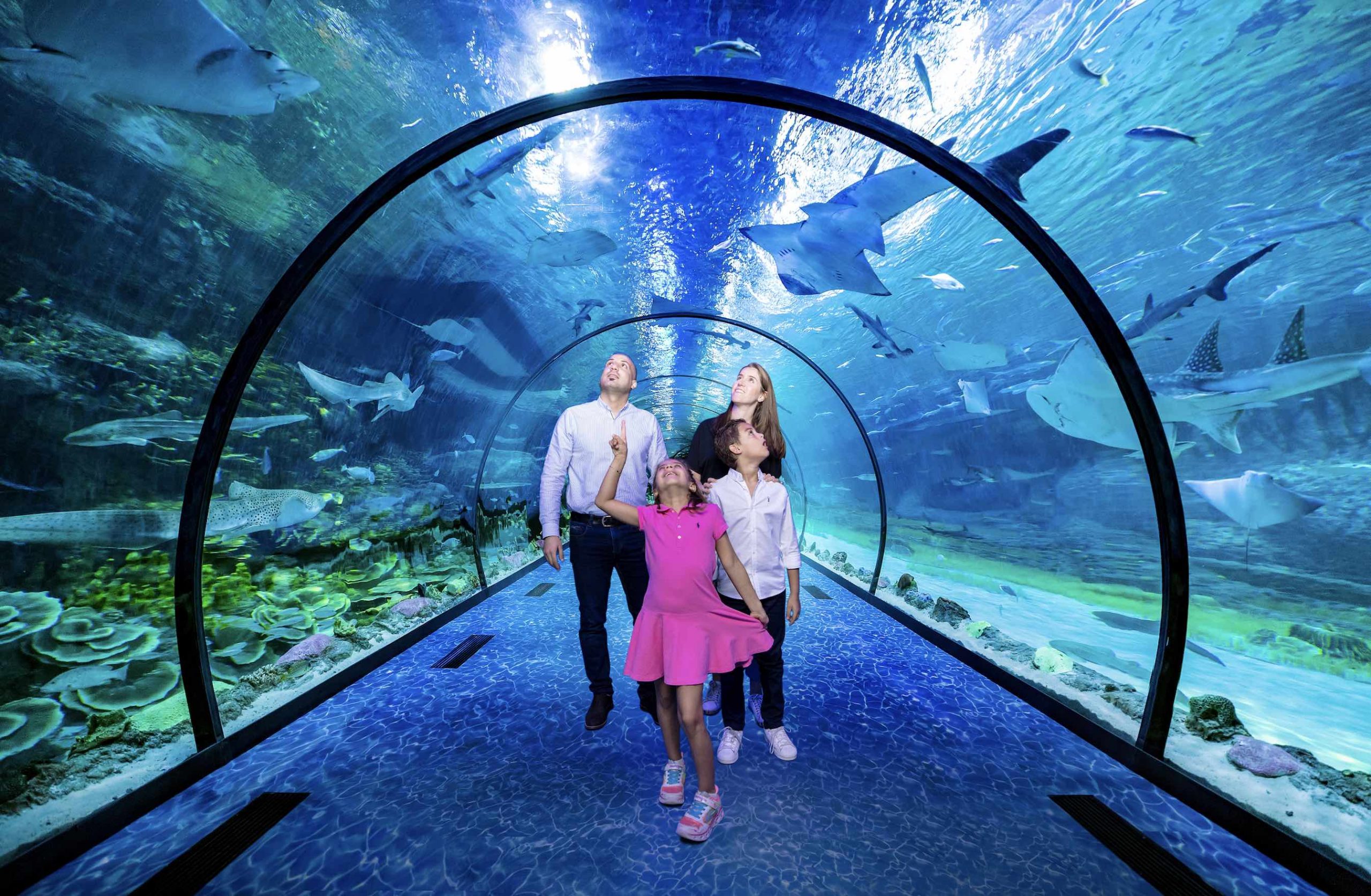 The National Aquarium Abu Dhabi