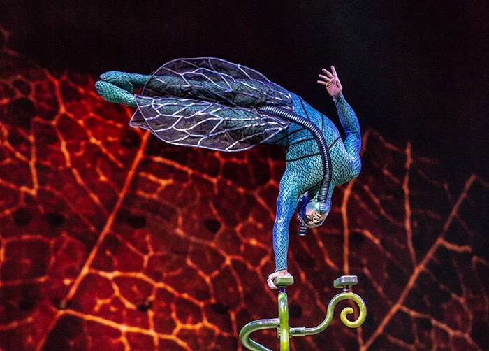 Cirque du Soleil in Riyadh