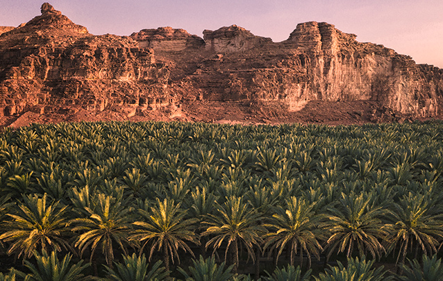 new restaurants in AlUla