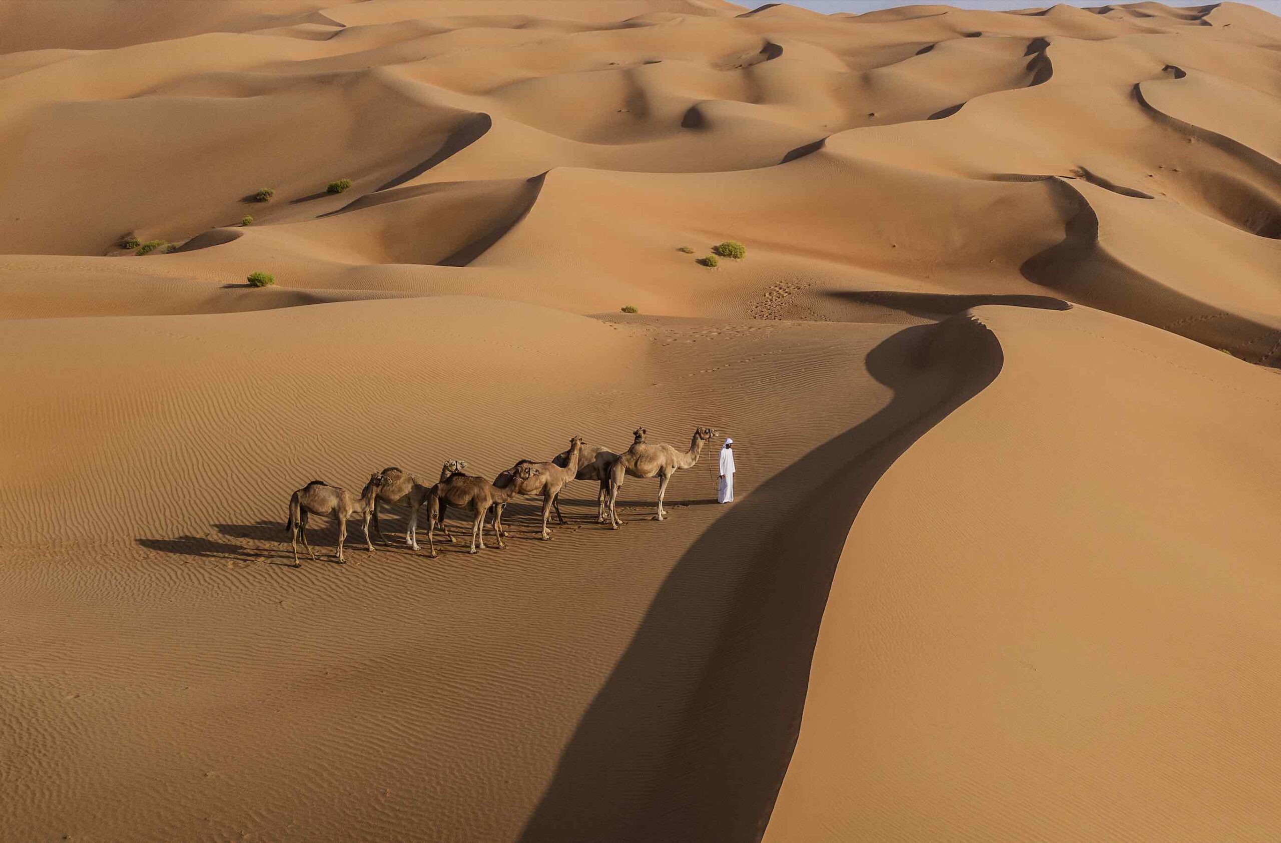 Qasr Al Sarab