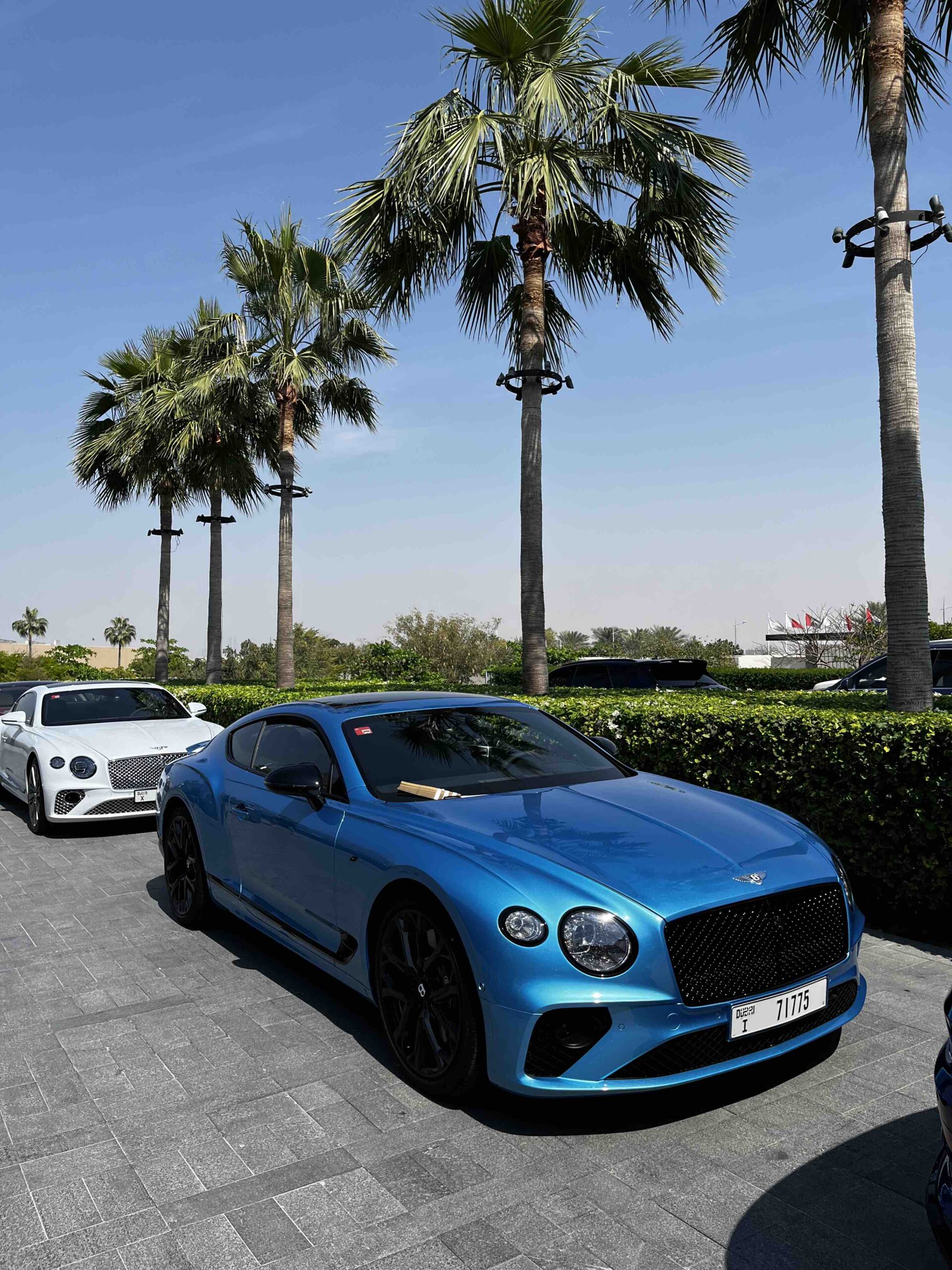 Bentley Continental GT S