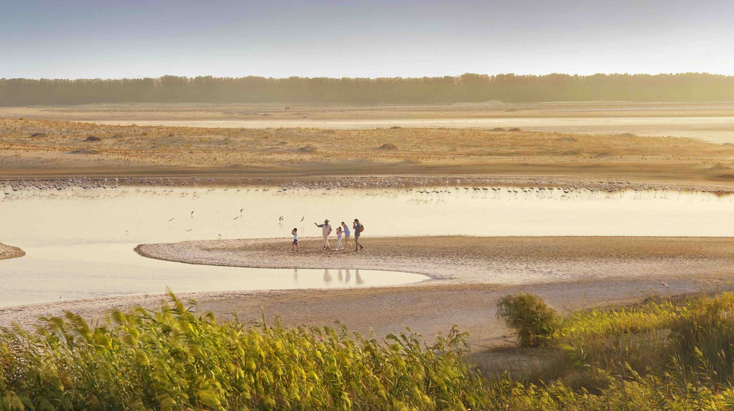 outdoor activities in Abu Dhabi