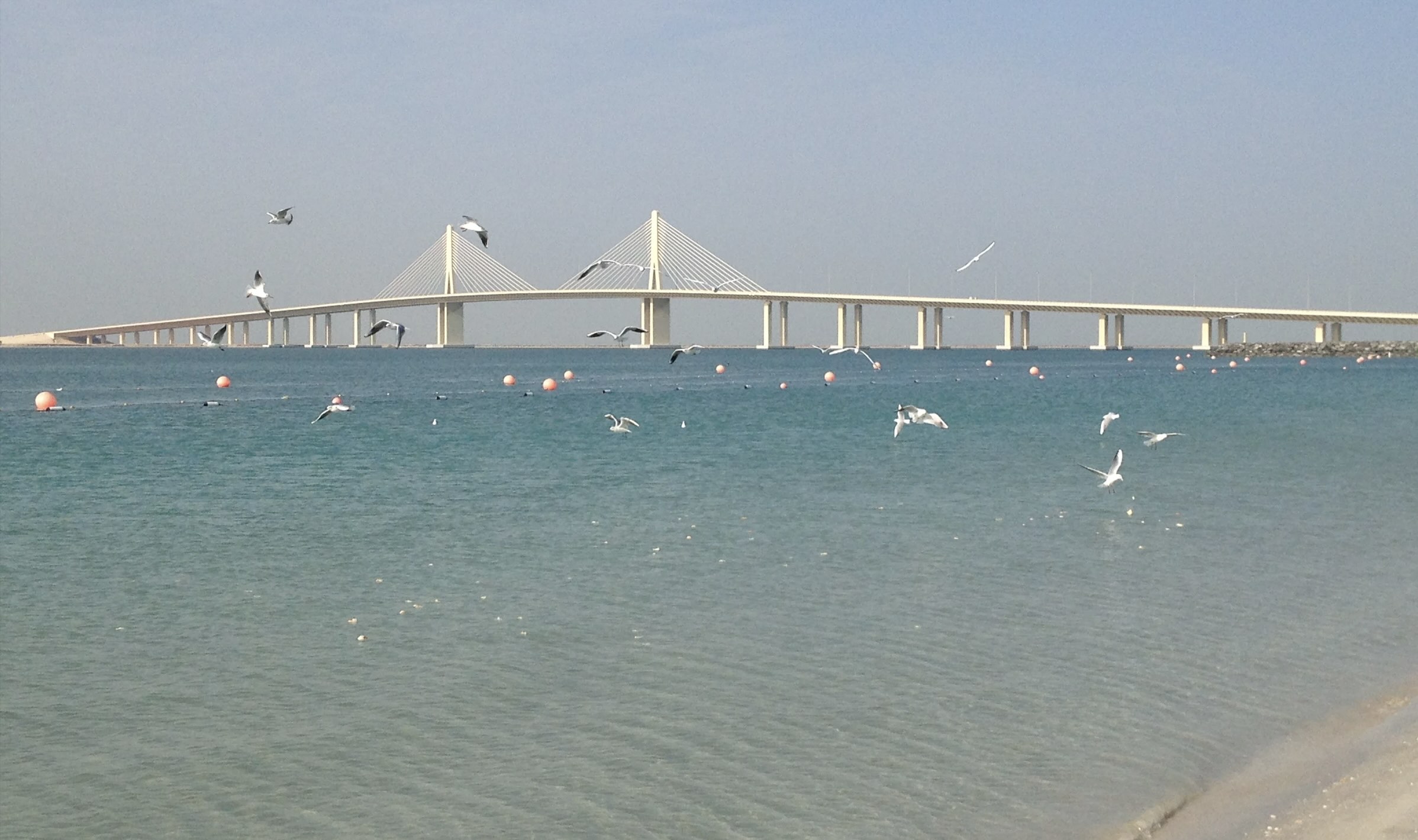 Al Bateen beaches in Abu Dhabi