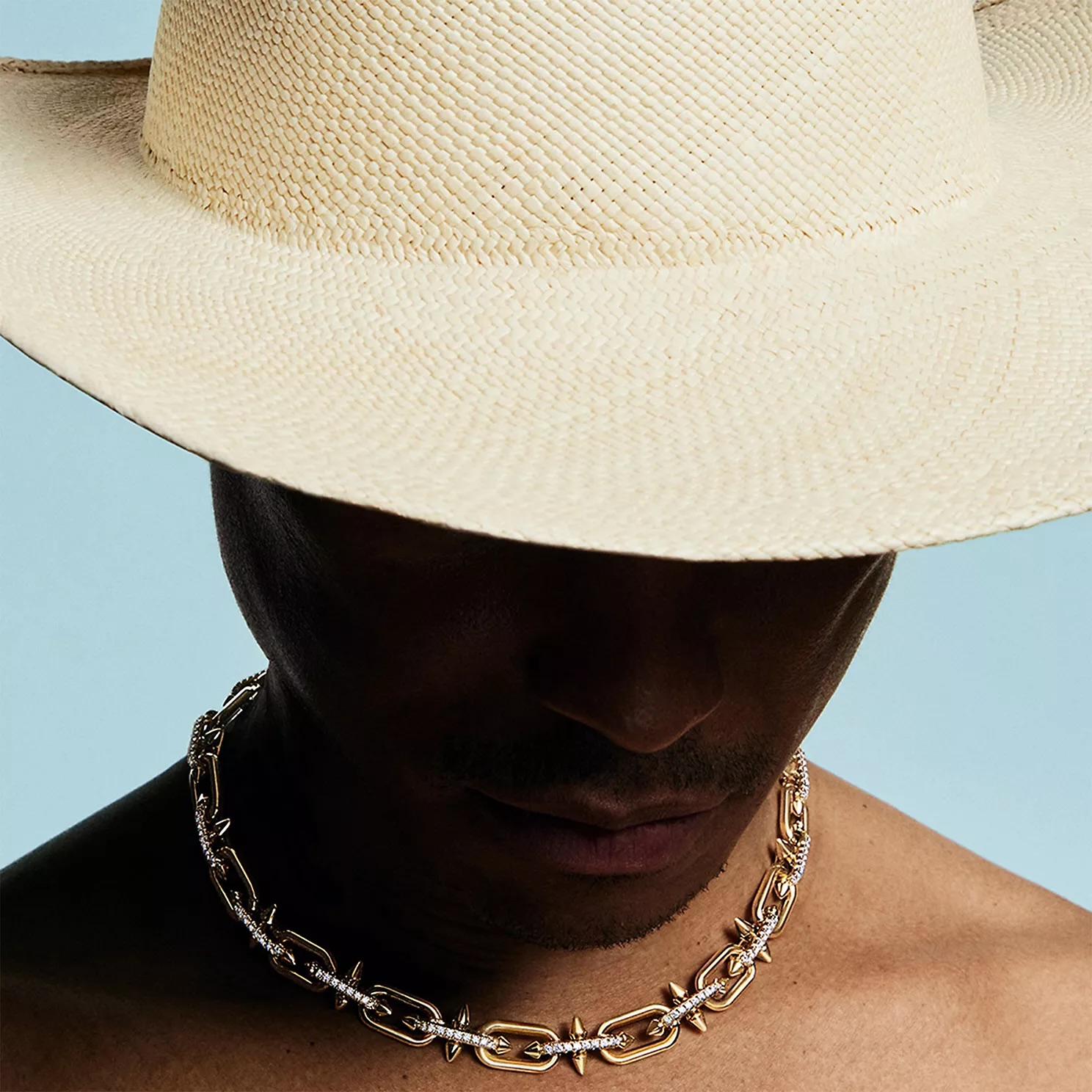 Tiffany Titan by Pharrell Williams