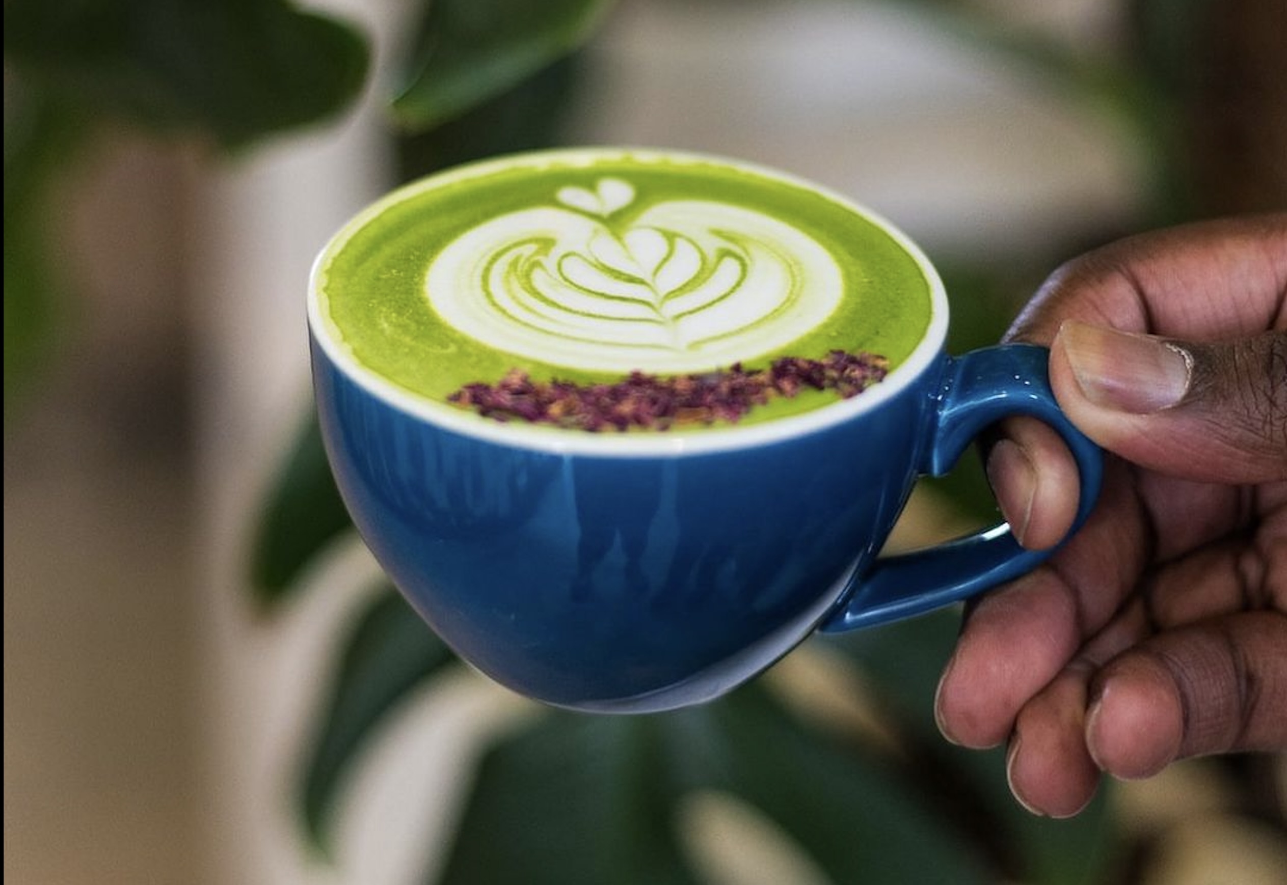 matcha in Dubai