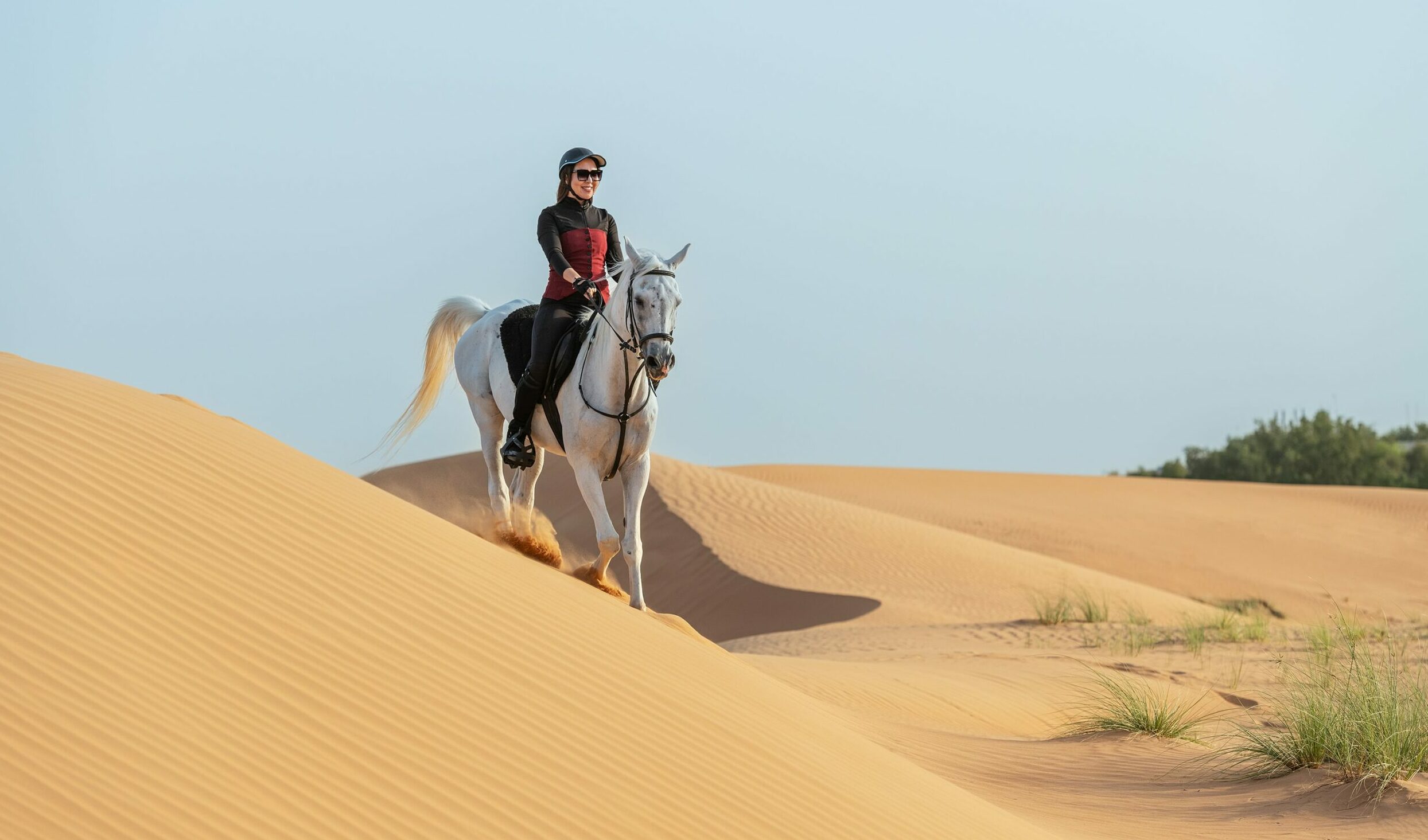 Desert Horse Ride